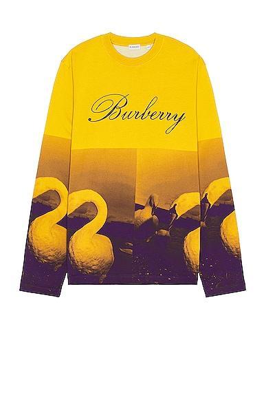 Burberry Football Sweater in Pear Ip Pattern - Yellow. Size M (also in L). Product Image