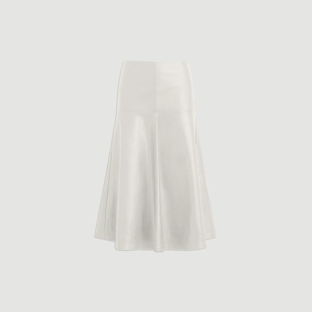 Harley A-Line Vegan Leather Skirt (Petite) Product Image