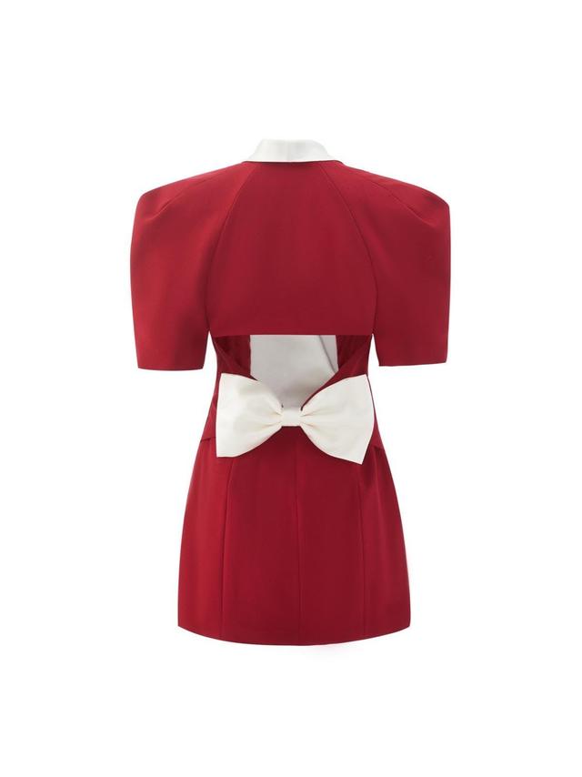 Alia Dress (Red) Product Image