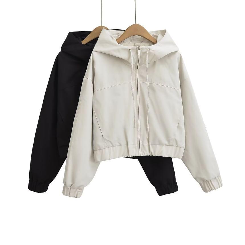 Hooded Plain Zip Up Jacket Product Image