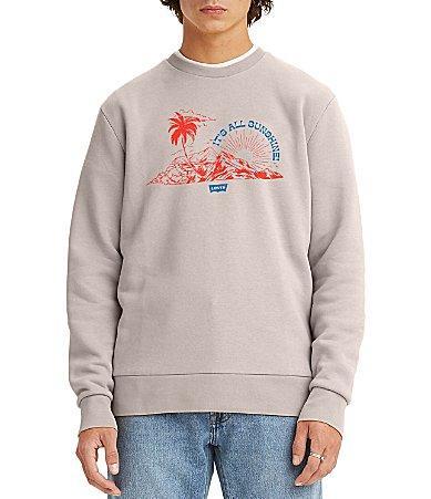 Levis Long-Sleeve Bi Americana Crew Sea Salt Sweatshirt Product Image