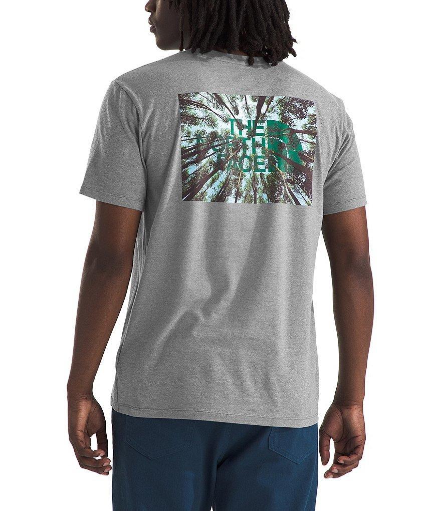 The North Face Short Sleeve Crown Shyness Heathered Graphic T-Shirt Product Image