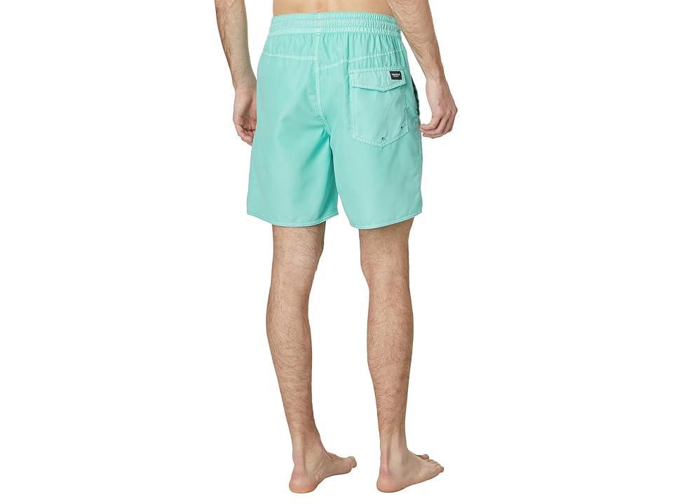 Volcom Center Trunk Swim Trunks Product Image