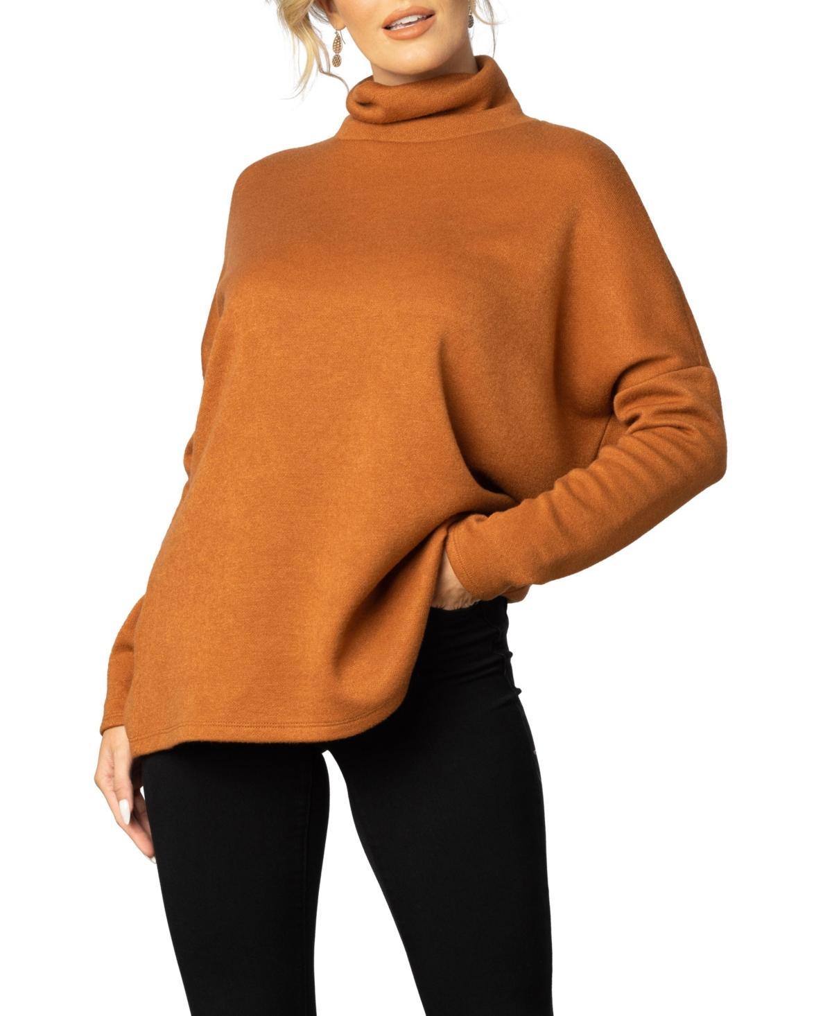 Womens Paris Turtleneck Tunic Sweater product image