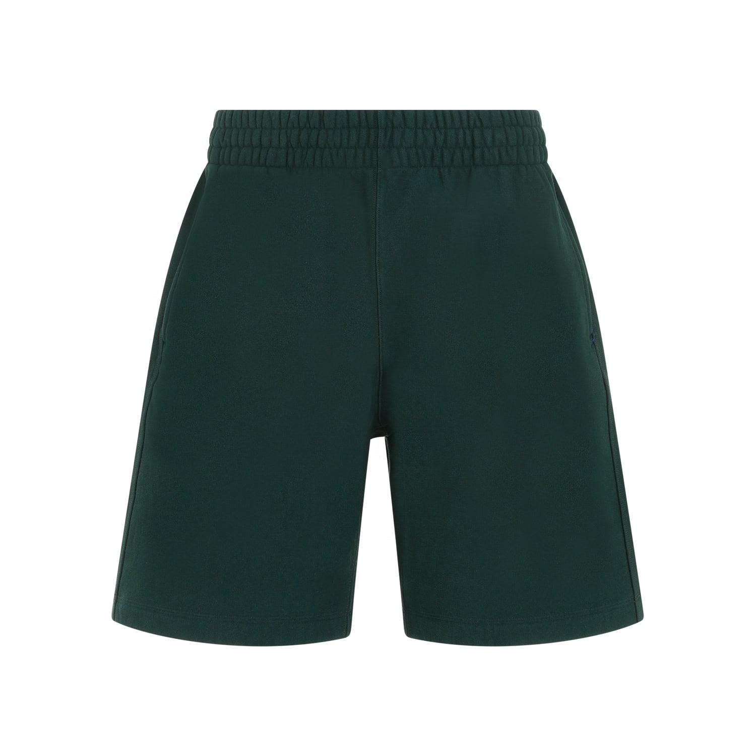 Ivy Green Cotton Shorts In Black Product Image