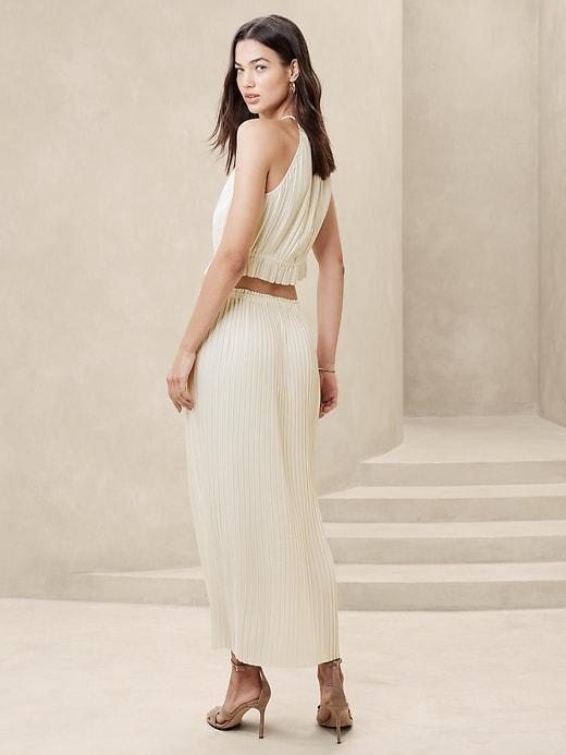 Pleated Maxi Skirt Product Image