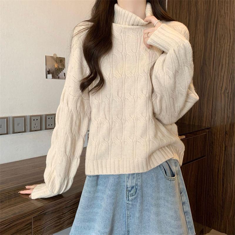 Turtleneck Plain Cable Knit Sweater Product Image