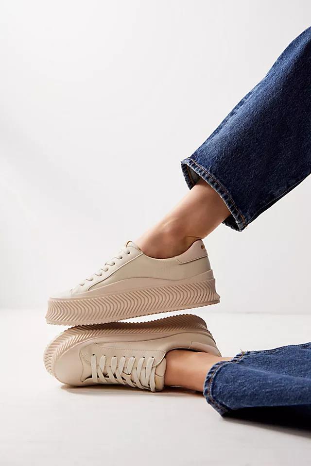 Tatum Sneakers Product Image