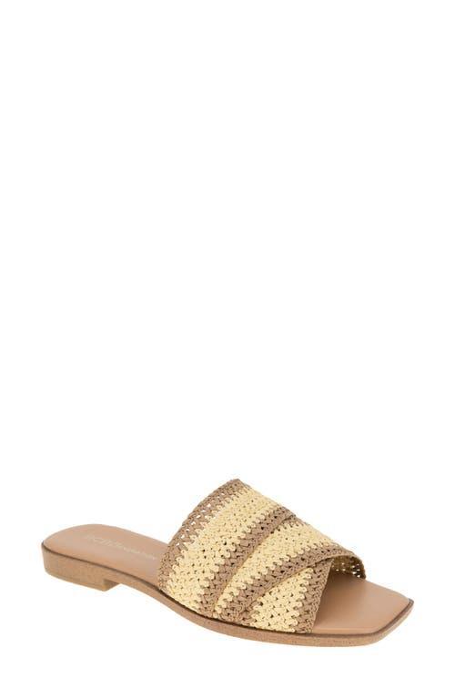 bcbg Lileen Slide Sandal Product Image