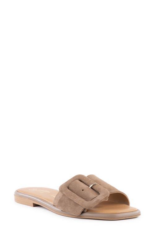 Seychelles Manhattan Slide Sandal Product Image