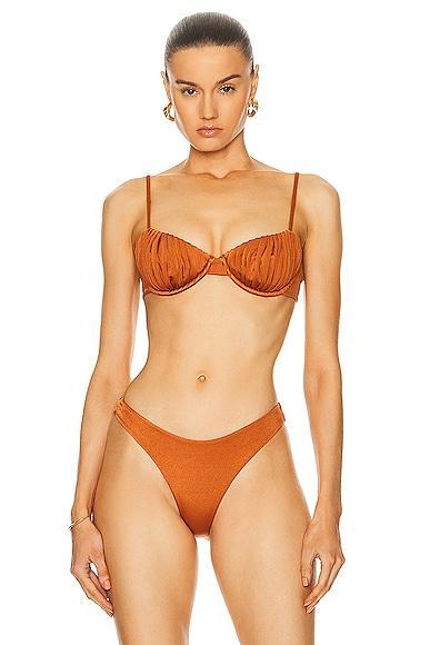 Palm Mariella Bikini Top Burnt Orange. (also in 3/L). Product Image