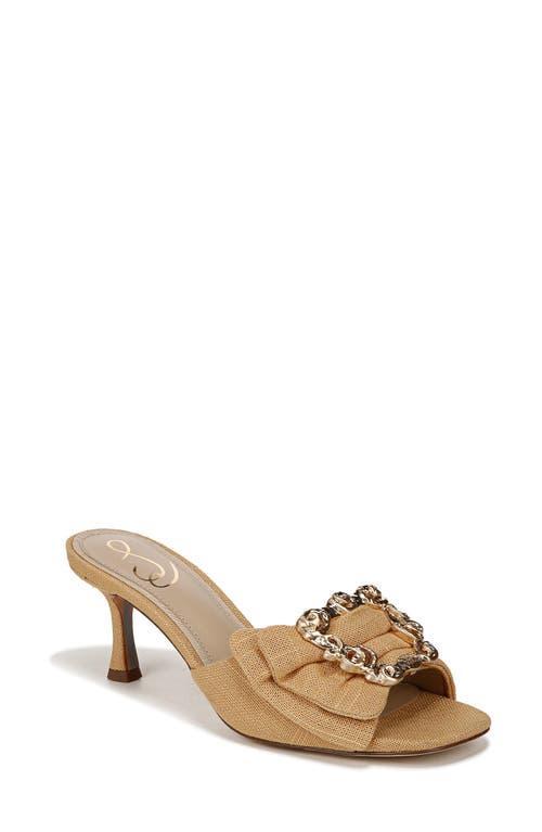 Sam Edelman Pietra Canvas Buckle Detail Dress Mule Sandals Product Image