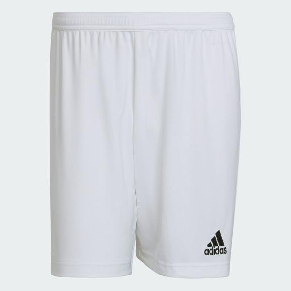 Entrada 22 Shorts Product Image