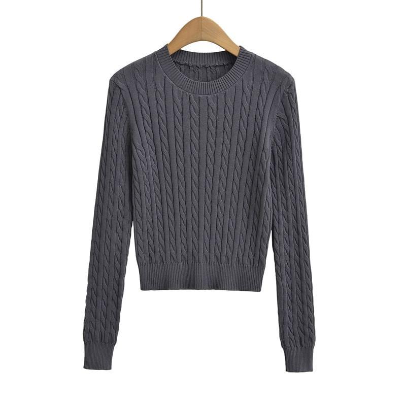 Crew Neck Plain Cable-Knit Sweater Product Image