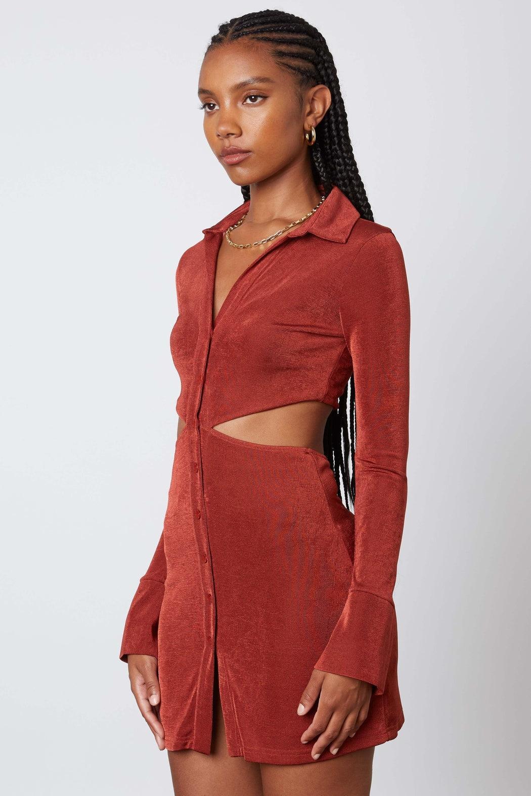 Rosewood Cutout Dress Product Image