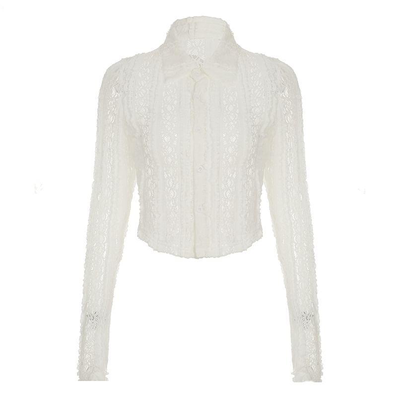 Long-Sleeve Lace Crop Shirt Product Image