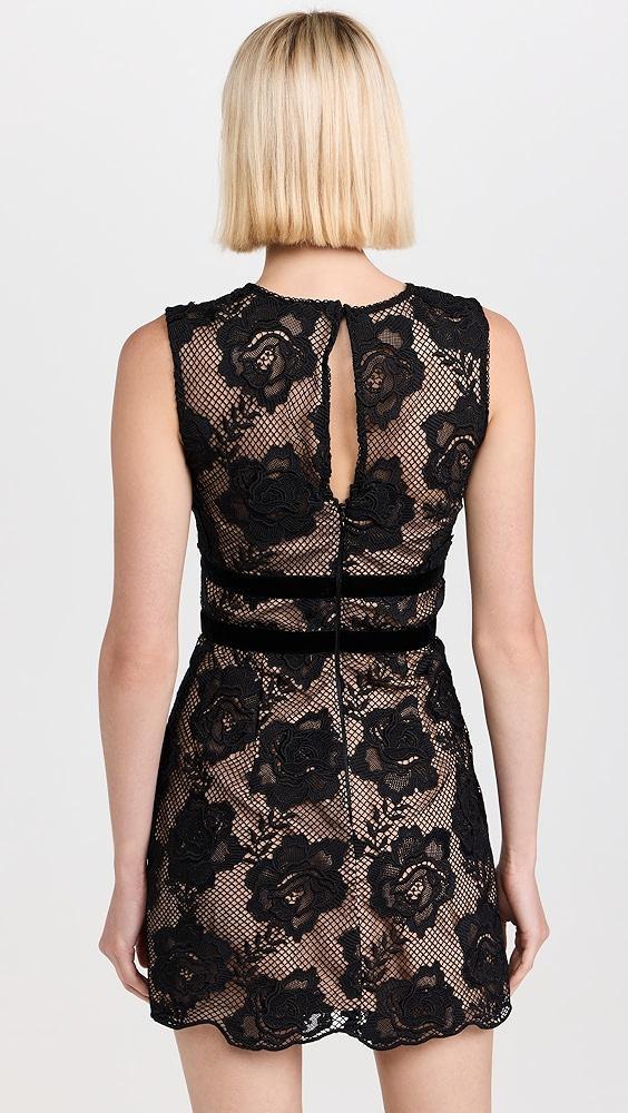 Self Portrait Black Lace Velvet Bow Mini Dress | Shopbop Product Image