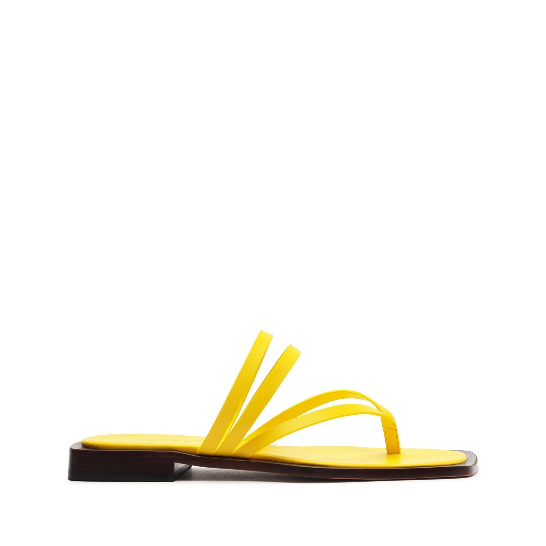 Rania Leather Flat Sandal Product Image