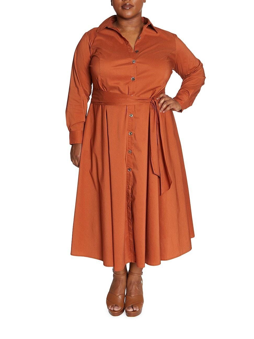 Womens Poplin Shirtdress Product Image