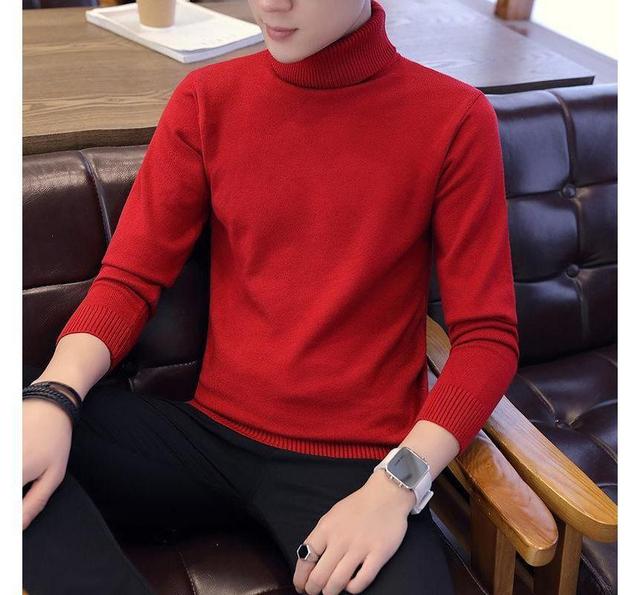 Turtleneck Plain Sweater Product Image