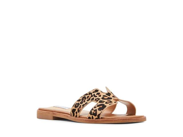 Steve Madden Hadyn-L (Leopard) Women's 1-2 inch heel Shoes Product Image