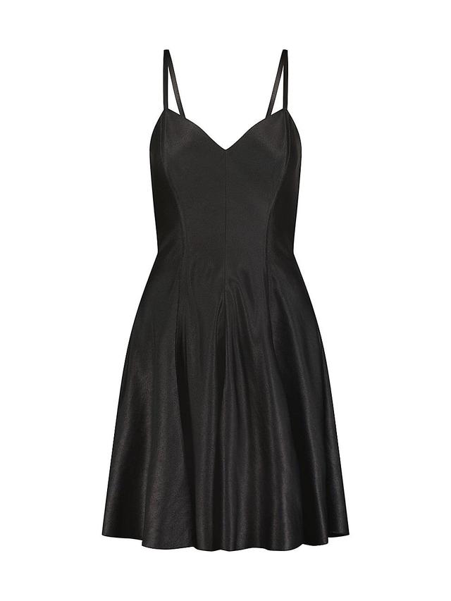 Womens Mini Swing Dress Product Image