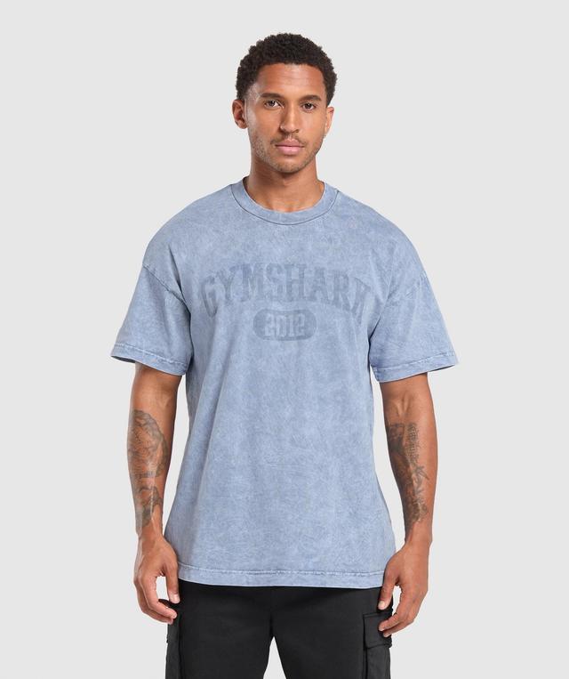 Collegiate Shadow Washed T-Shirt Product Image