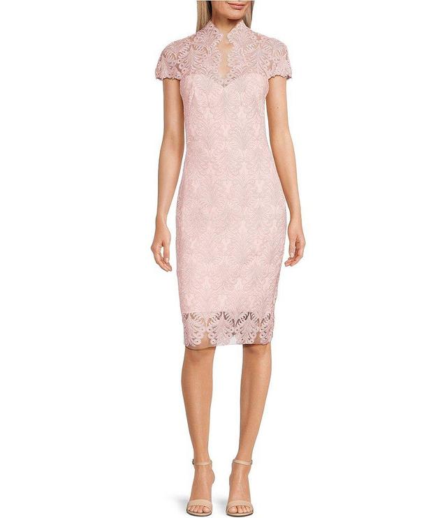 Tadashi Shoji Illusion Short Sleeve Split V-Neck Corded Lace Sheath Dress Product Image