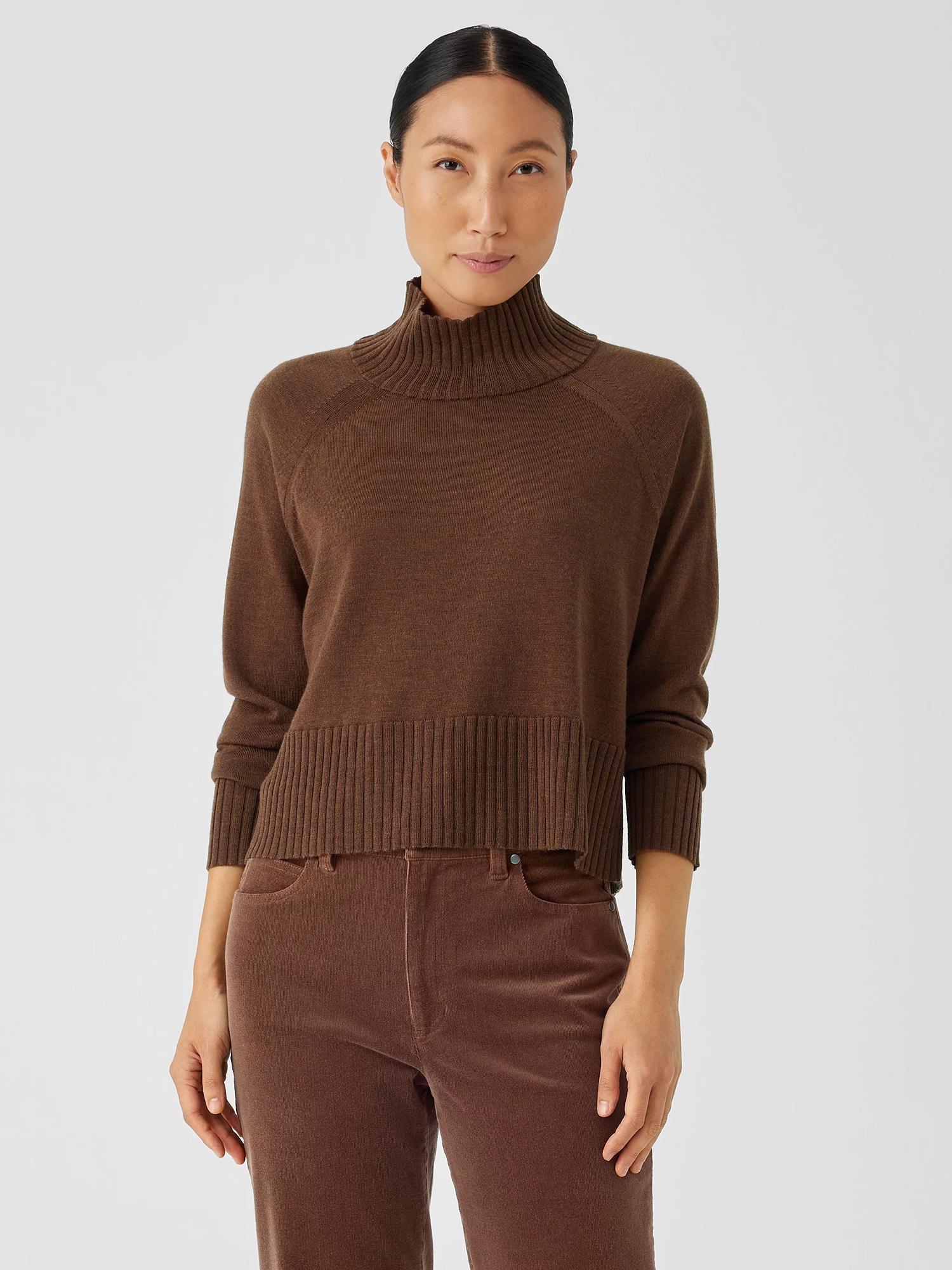 EILEEN FISHER Merino Jersey Turtleneck Top in Regenerative Woolfemale Product Image