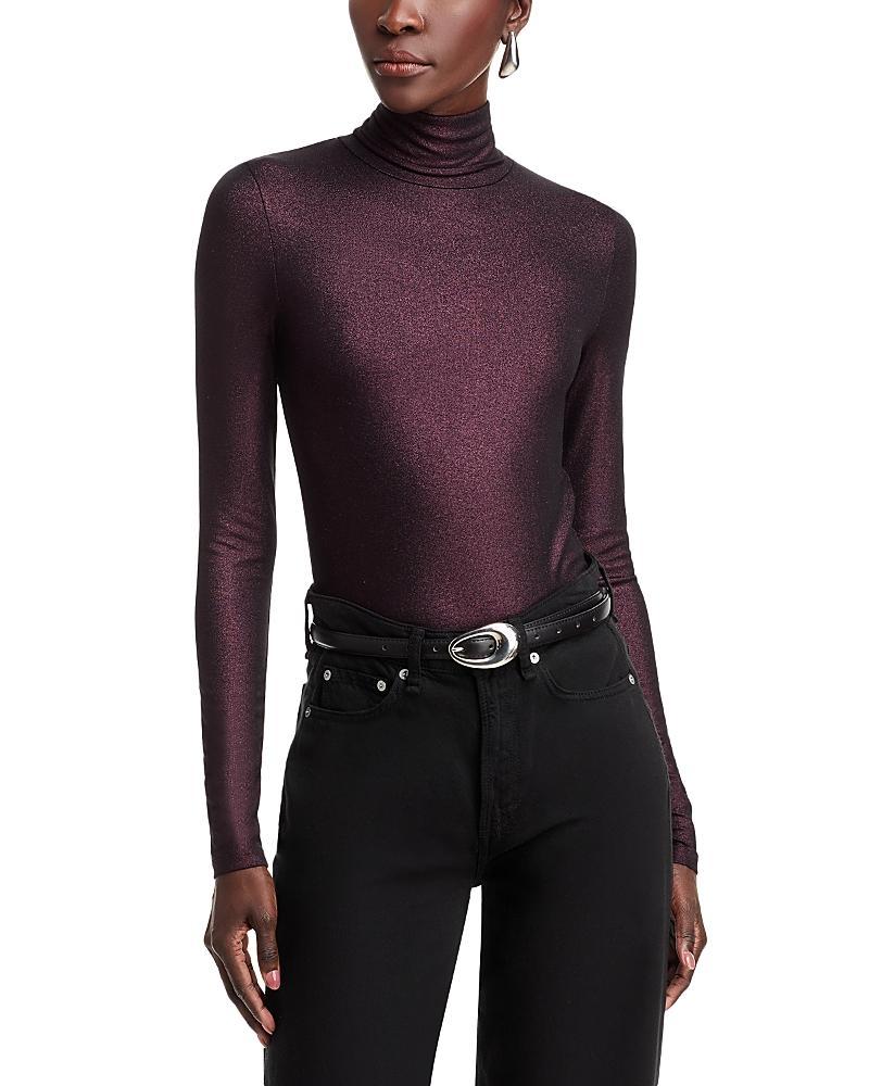 Womens Soft Touch Metallic Turtleneck Top Product Image