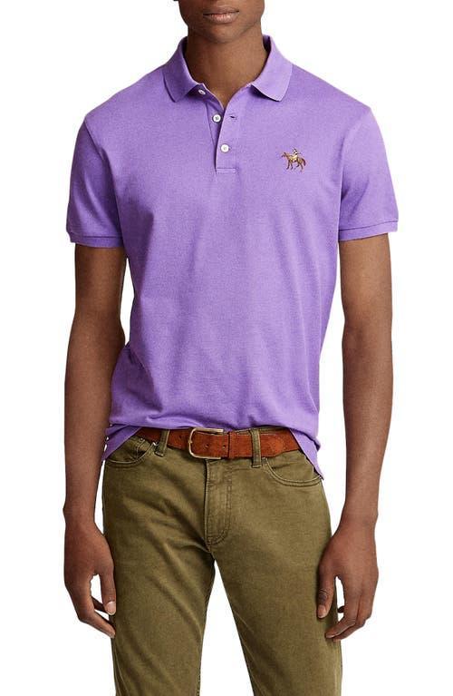 Ralph Lauren Purple Label Cotton Piqu Polo Product Image