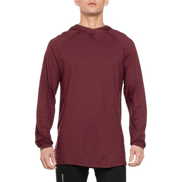 SmartWool Merino Sport 150 Hooded Base Layer Top - Merino Wool, Long Sleeve Product Image