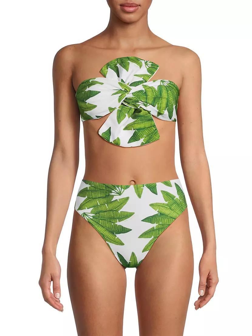 Palm Fan Bandeau Bikini Top Product Image