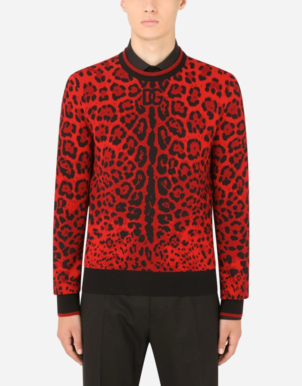 Round-neck Jacquard Sweater With Leopard Detailing In Multicolor Product Image