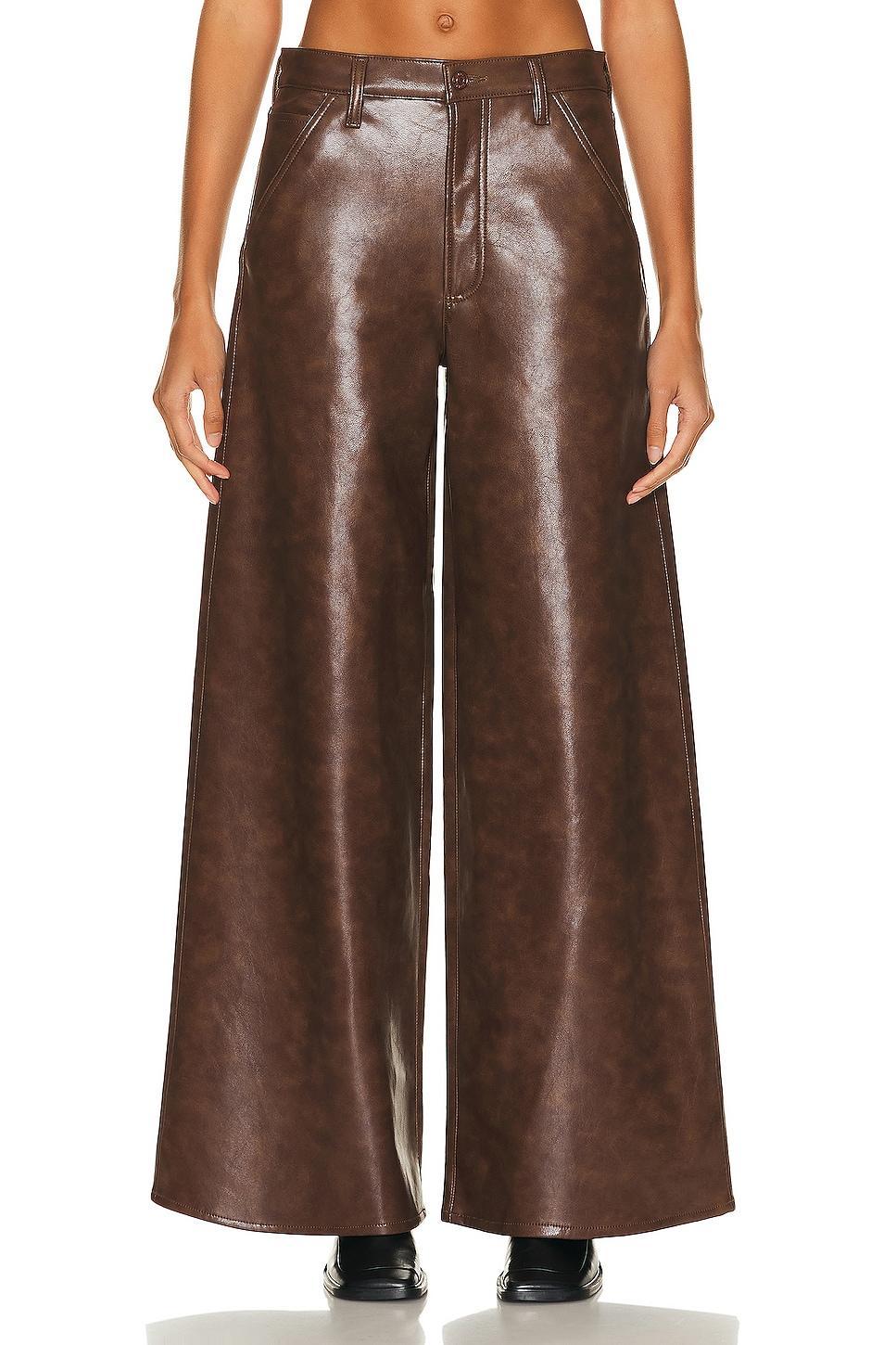 AGOLDE Dale Wide Leg Carpenter Trouser in Brown Product Image