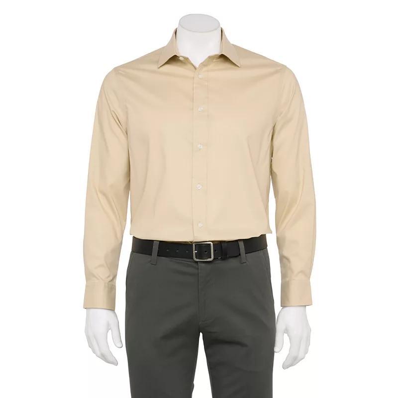 Big & Tall Haggar Premium Comfort Wrinkle Resistant Dress Shirt, Mens Green Solid Product Image