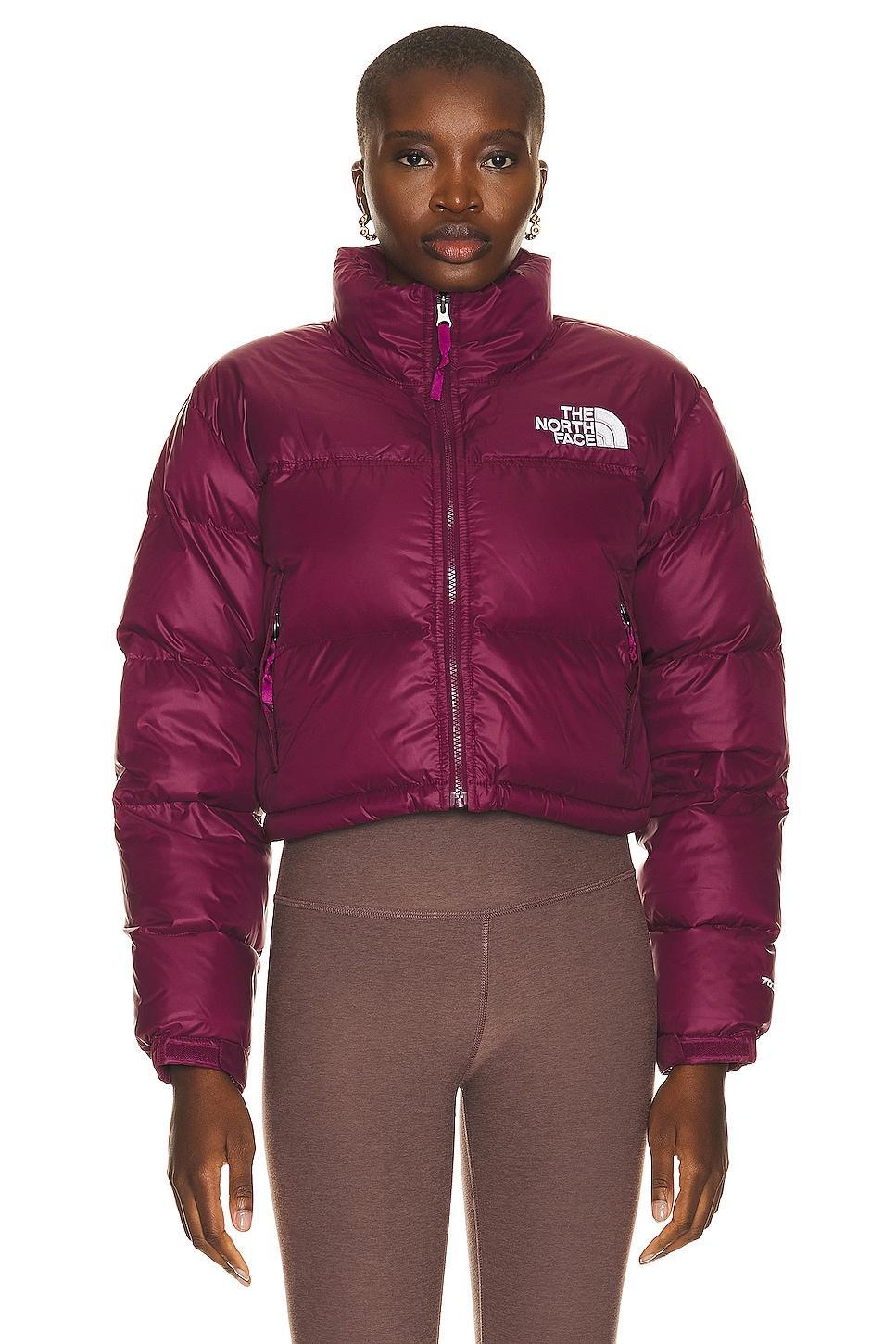 The North Face Nuptse Short Jacket in Navy Product Image