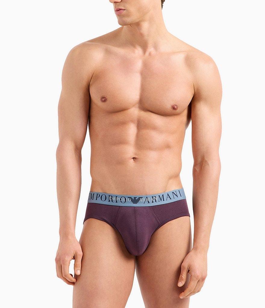 Emporio Armani Stretch Cotton Knit New Icon Boxers Product Image