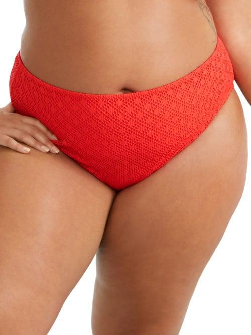 Plus Size Bazaruto Mid-Rise Bikini Bottom Product Image