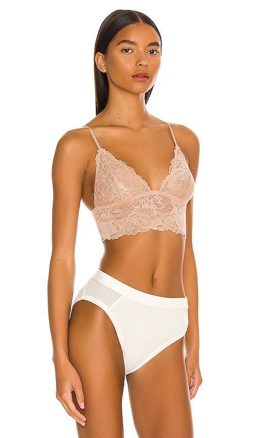 Everyday Lace Longline Bra Product Image