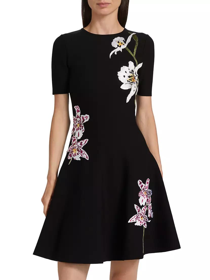 Floral-Embroidered Minidress Product Image