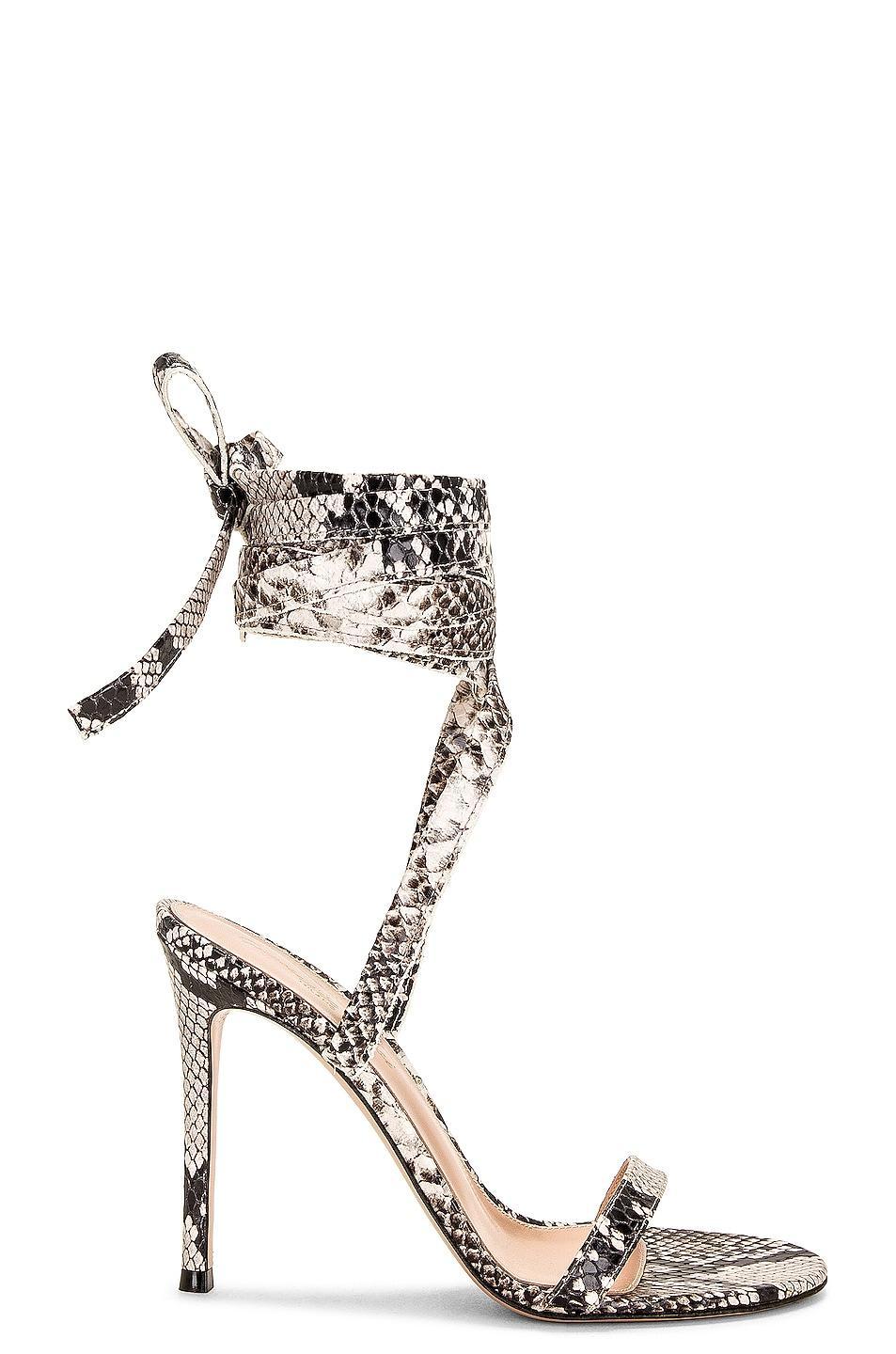 Gianvito Rossi Borneo in Grey Product Image