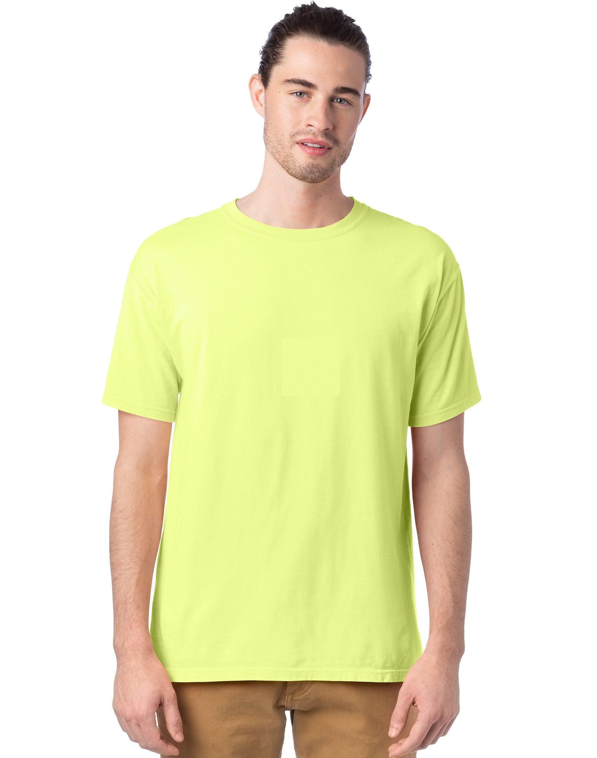 Hanes Mens Garment Dyed Cotton T-Shirt Spanish Moss 2XL Product Image