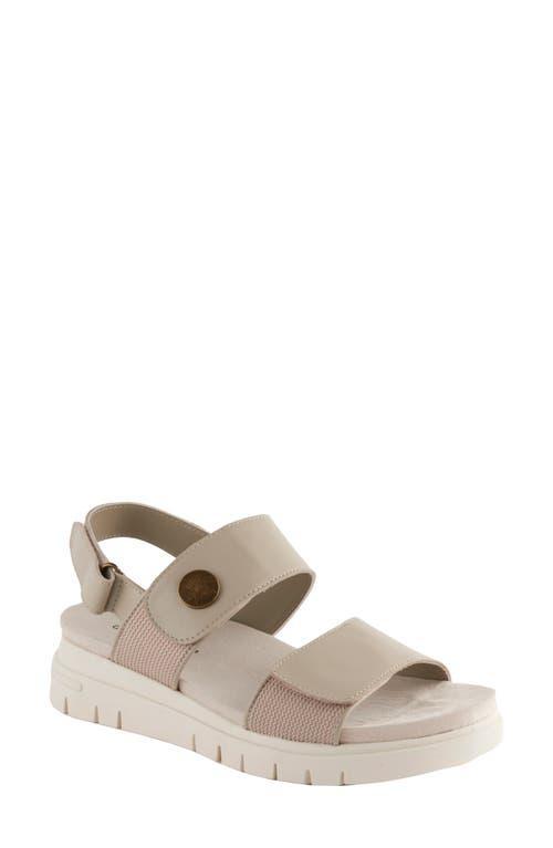 David Tate Downy Slingback Sport Sandal Product Image