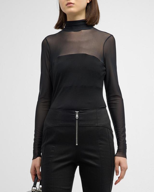 Shantel Sheer Mesh Long-Sleeve Turtleneck Top Product Image