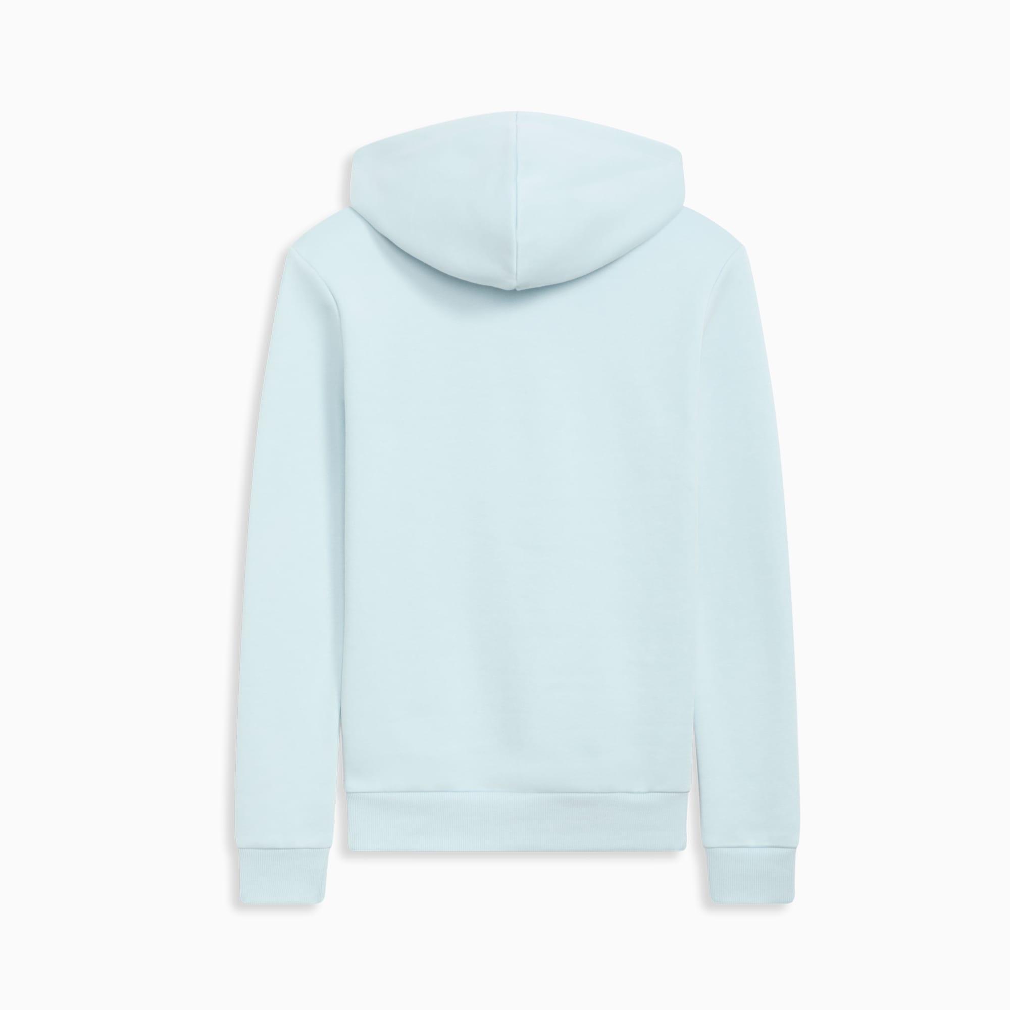 ESS Small Logo Women's Hoodie Product Image