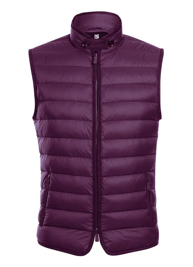 Berry Regular Classic Fit Goose Down Vest Product Image