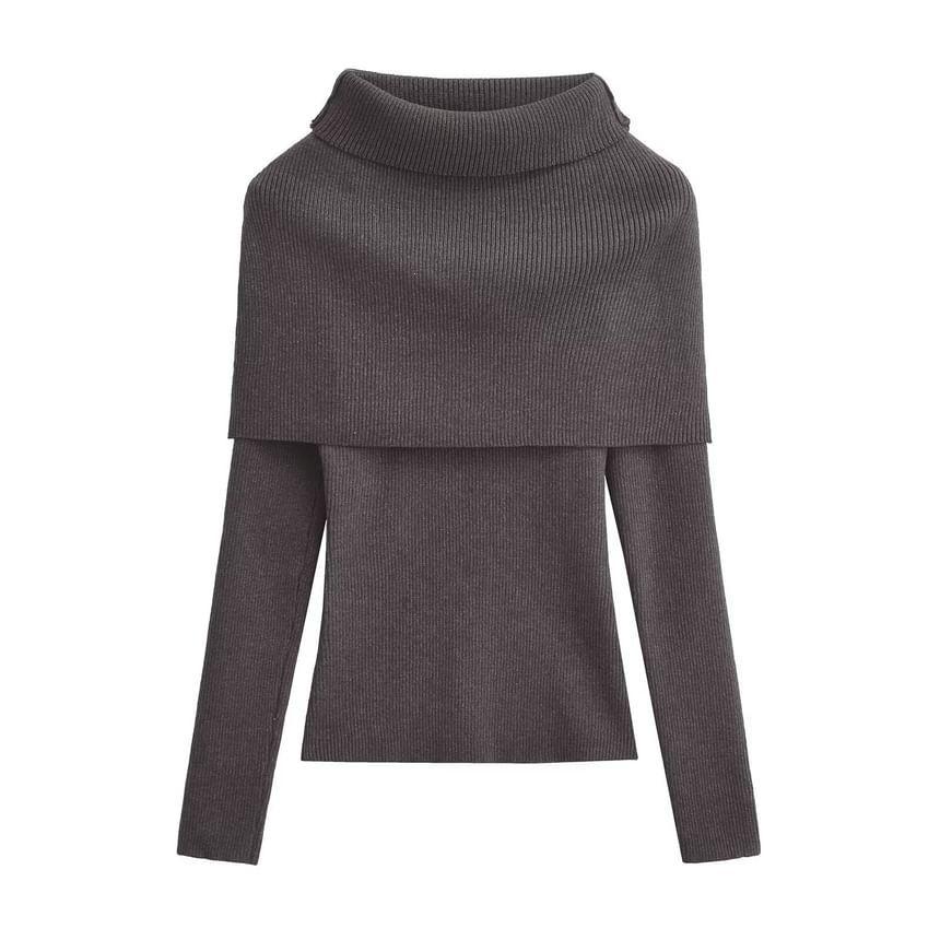 Turtleneck Plain Ribbed Sweater Product Image