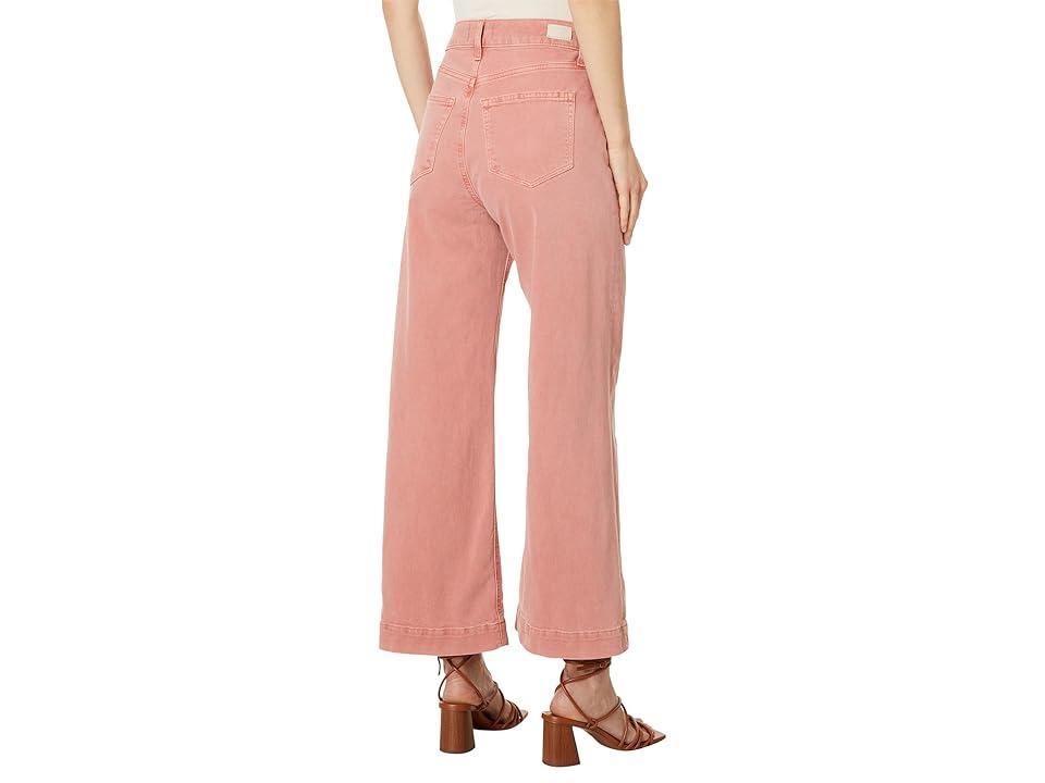 Paige Anessa (Vintage Terracotta) Women's Jeans Product Image