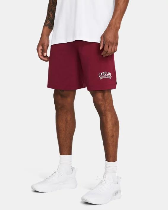 Men's UA Tech™ Vent Collegiate Shorts Product Image